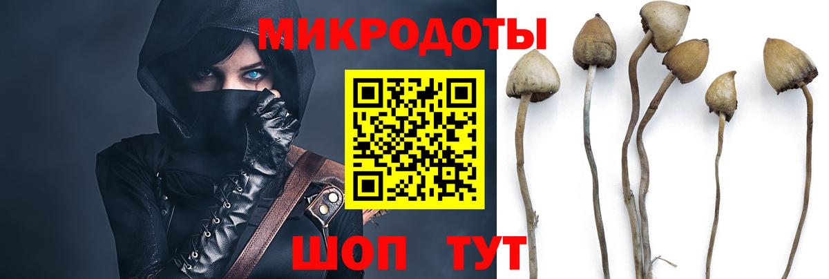 Выкса  Псилоцибиновые грибы MAGIC MUSHROOMS  Вход с VPN 
